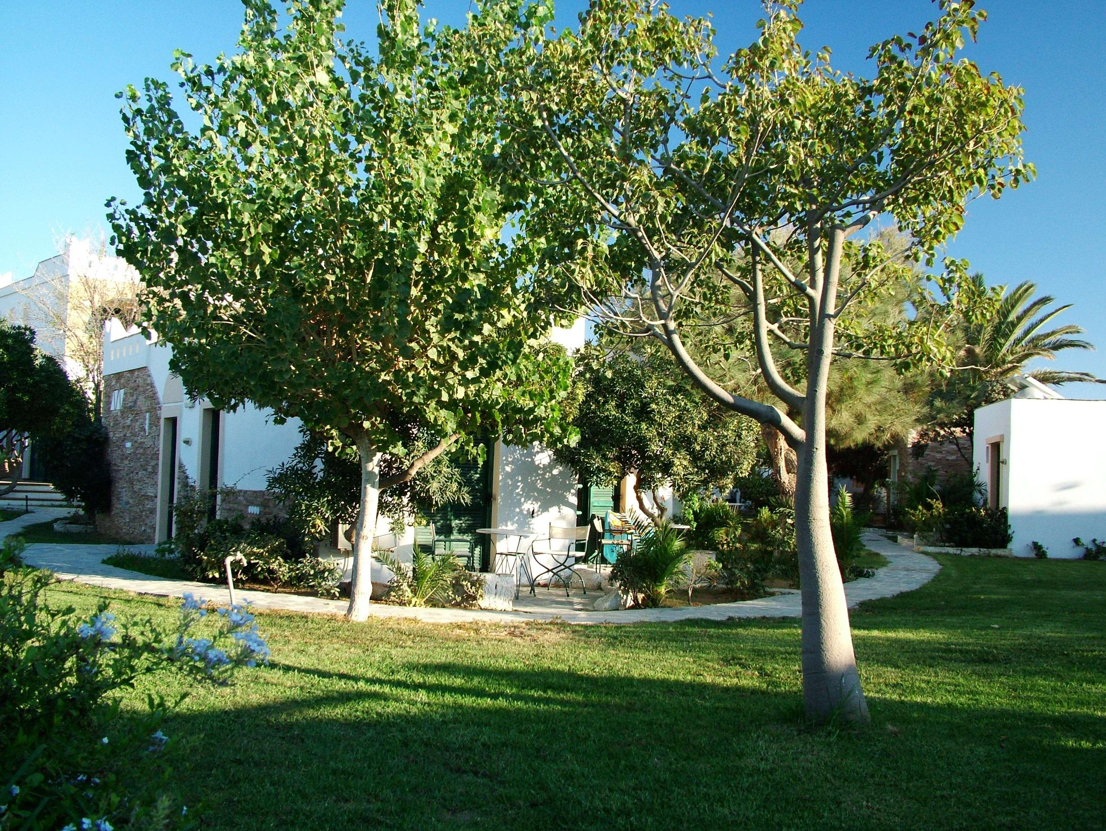 Hotel Naxos Beach Naxos City Экстерьер фото