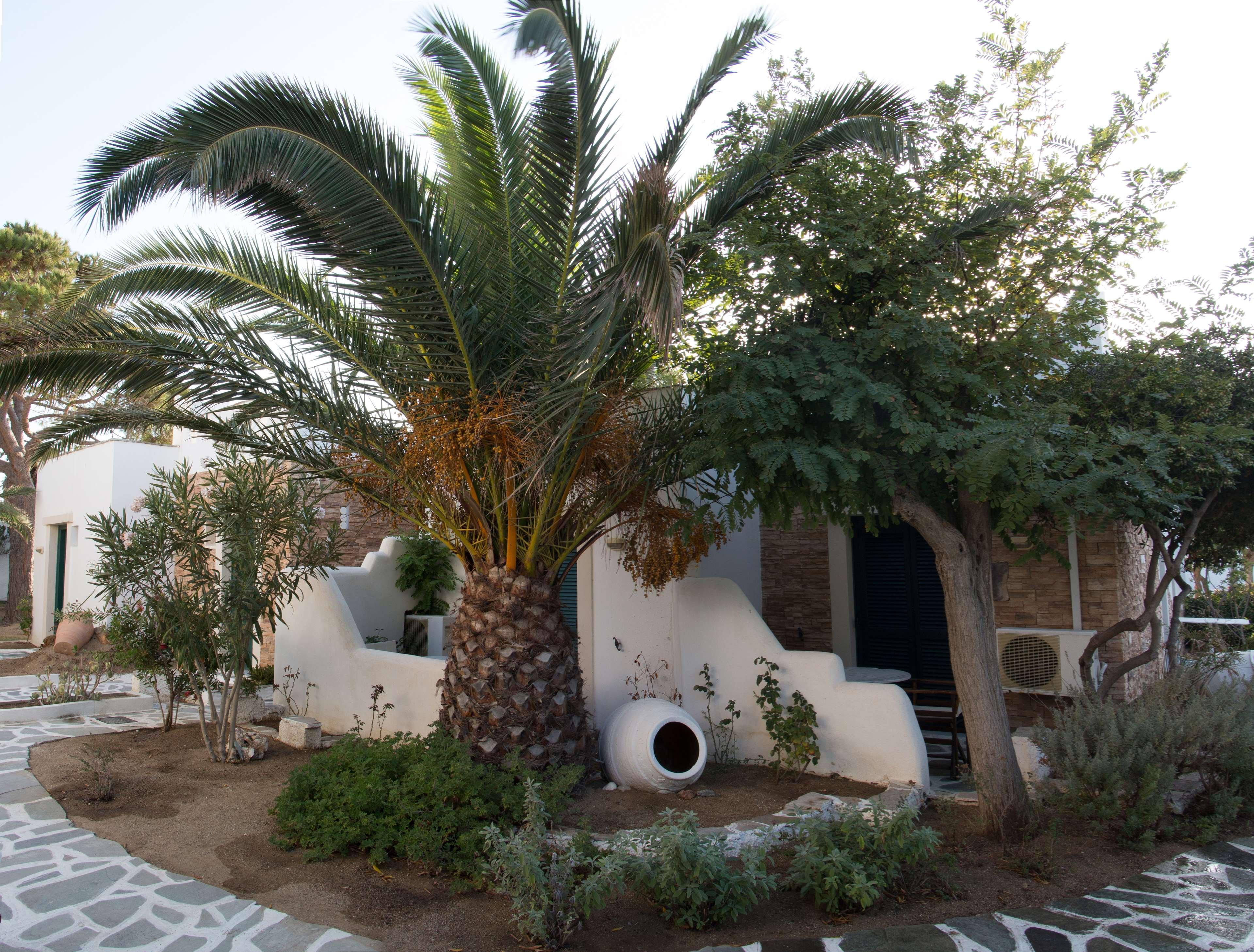 Hotel Naxos Beach Naxos City Экстерьер фото